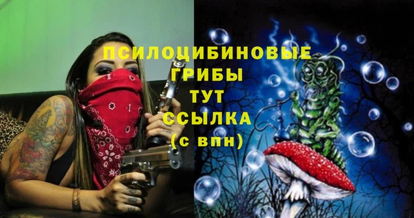 альфа пвп Армянск