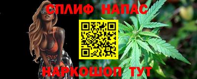 гидра Будённовск