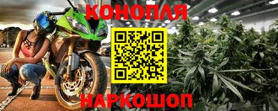гидра Будённовск