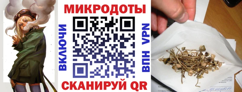 Галлюциногенные грибы Magic Shrooms  Вязники 