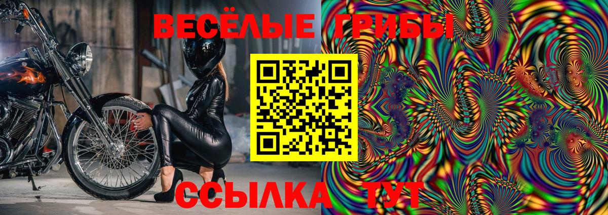 Галлюциногенные грибы GOLDEN TEACHER Вязники