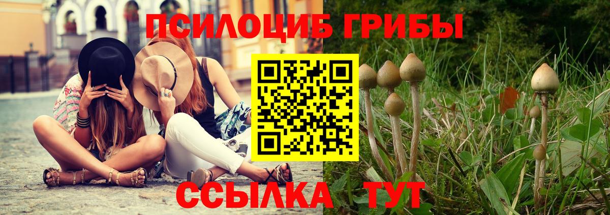 Галлюциногенные грибы Cubensis  Вход с VPN  Галлюциногенные грибы GOLDEN TEACHER  Вязники 