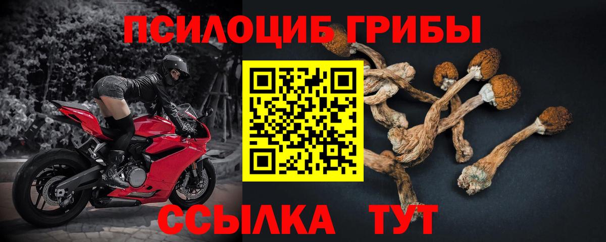 МДМА  Вязники  Меф  Каннабис  Гашиш  CBD масло  Кокаин  Каннабис  Вход с VPN 