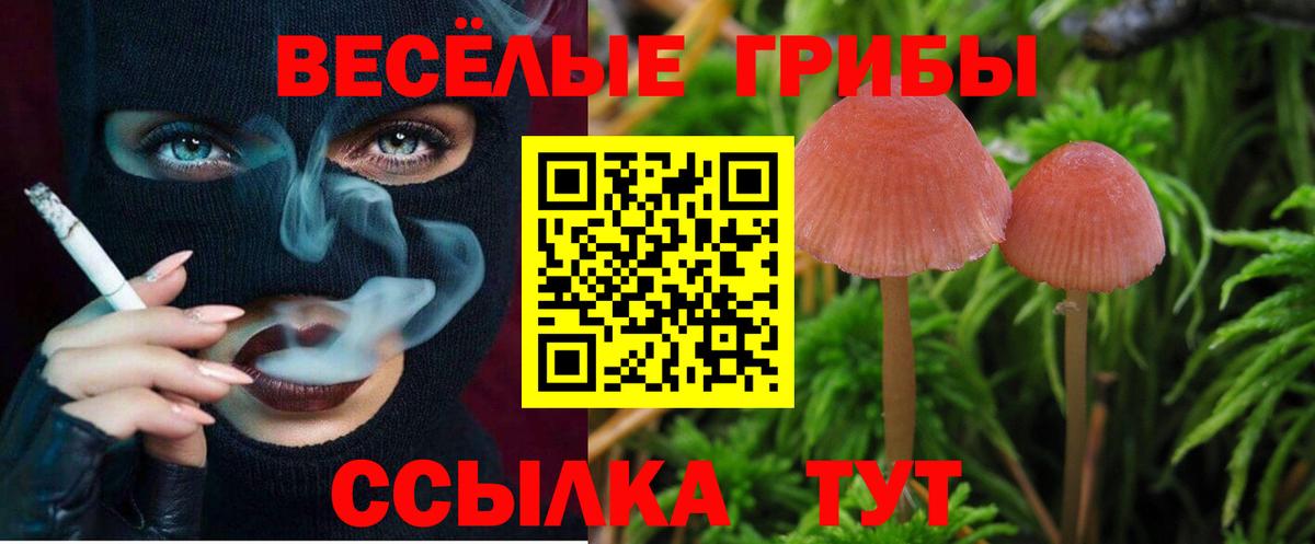 Псилоцибиновые грибы ЛСД Вязники